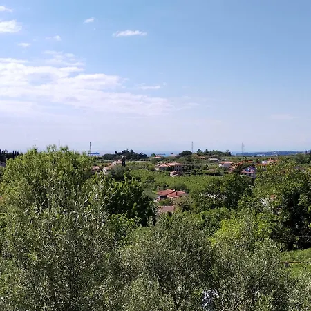 Apartma Zora 아파트 *