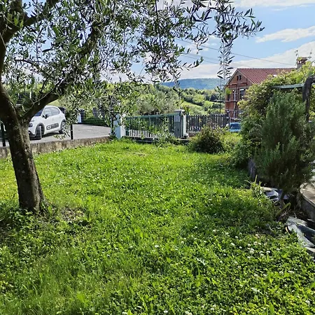 Apartma Zora *