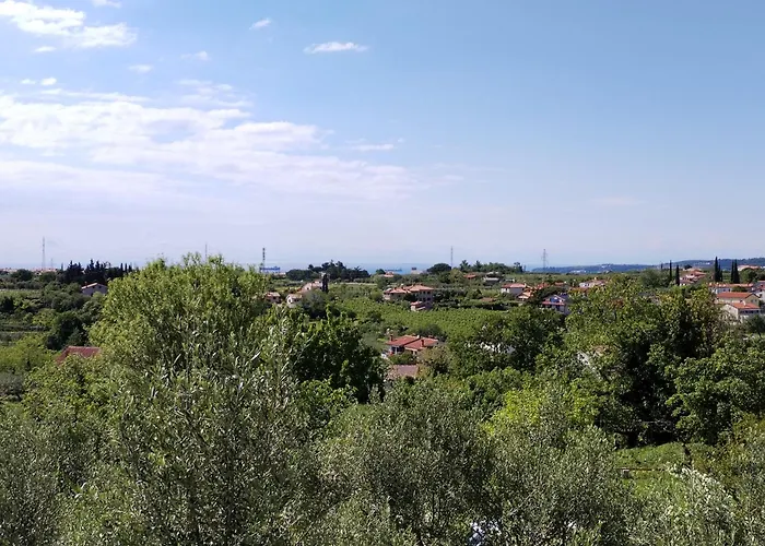 Apartma Zora 아파트 *